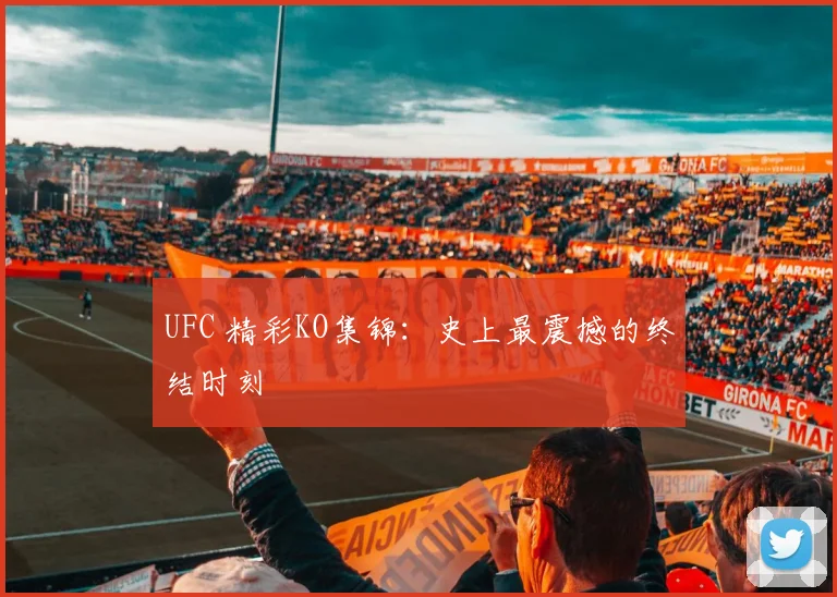 UFC 精彩KO集锦:史上最震撼的终结时刻