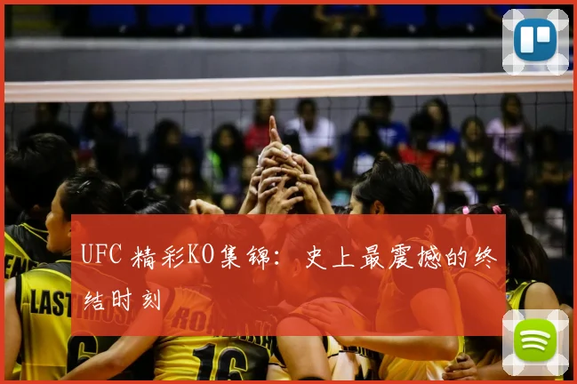 UFC 精彩KO集锦:史上最震撼的终结时刻