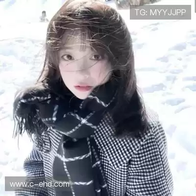 董治鹤